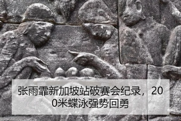张雨霏新加坡站破赛会纪录，200米蝶泳强势回勇
