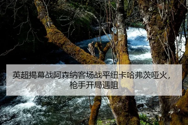 英超揭幕战阿森纳客场战平纽卡哈弗茨哑火，枪手开局遇阻