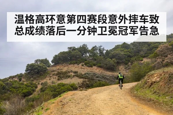 温格高环意第四赛段意外摔车致总成绩落后一分钟卫冕冠军告急