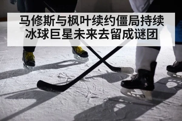 马修斯与枫叶续约僵局持续 冰球巨星未来去留成谜团